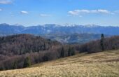1000135749 (Copy)